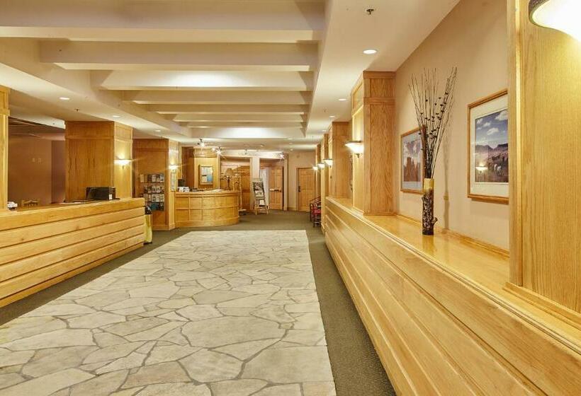 آپارتمان 1 خوابه, Shoshone Condo 1950