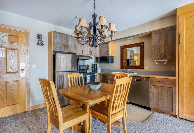 آپارتمان 1 خوابه, Shoshone Condo 1950