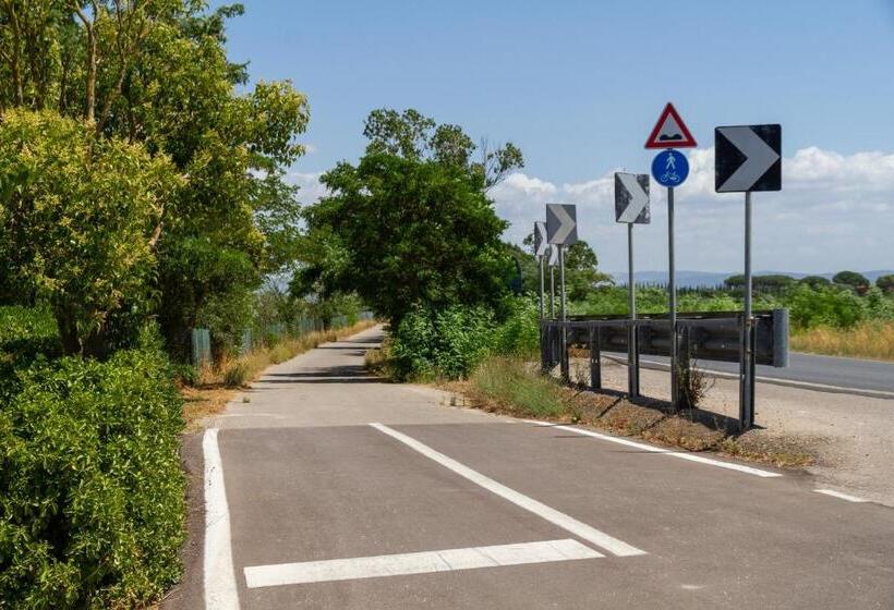 آپارتمان 1 خوابه, Bilo Erica