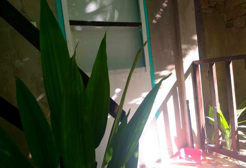 آپارتمان 1 خوابه, Casa De Viajeros