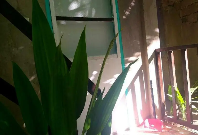 آپارتمان 1 خوابه, Casa De Viajeros