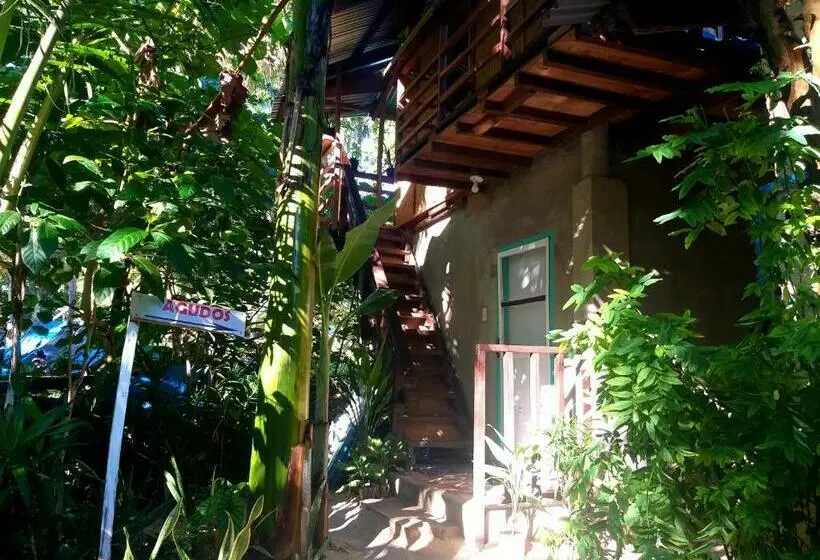 آپارتمان 1 خوابه, Casa De Viajeros