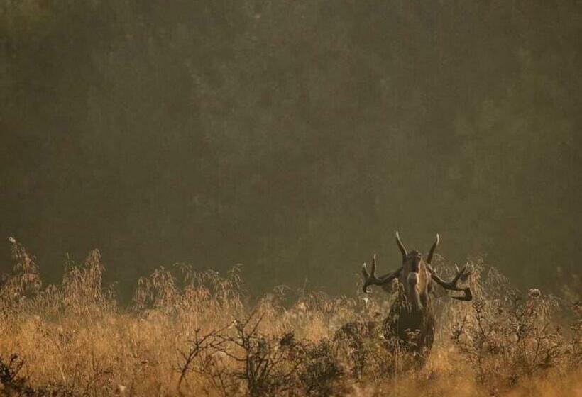 싱글 기본룸, Gościniec Biebrzański