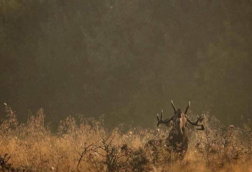 이코노이 4인룸, Gościniec Biebrzański