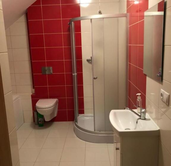 חדר סטנדרט לארבעה, Hgs Home Noclegi Pracownicze Parking , łazienki