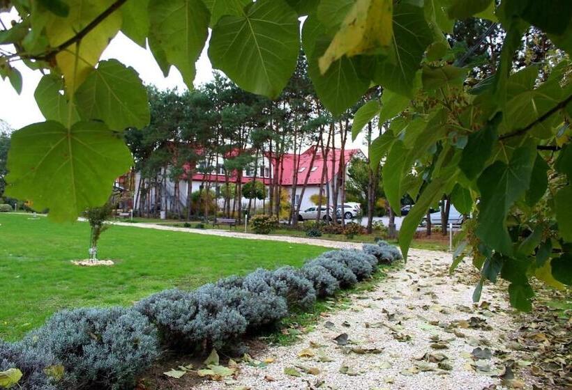 スタンダードシングルルーム, Zabawa