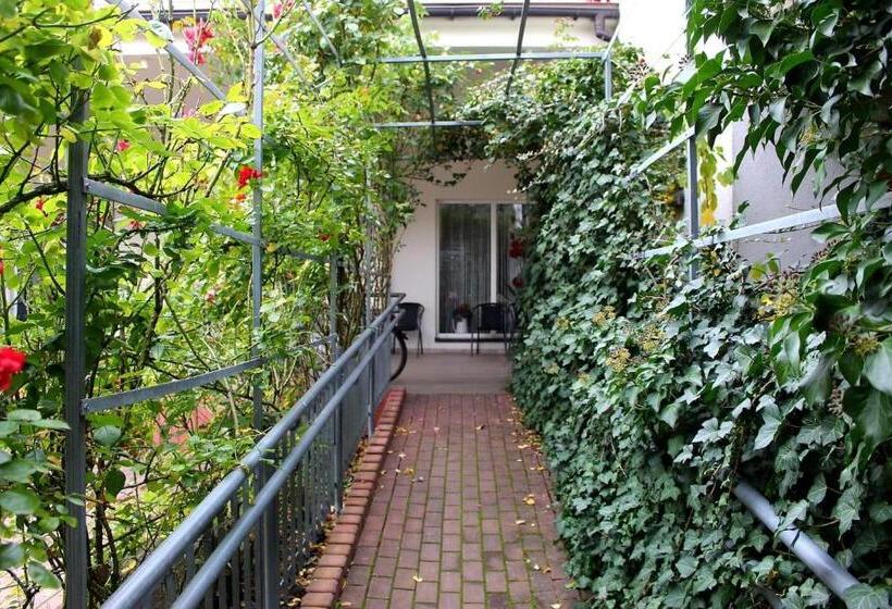 スタンダードルーム, Zabawa