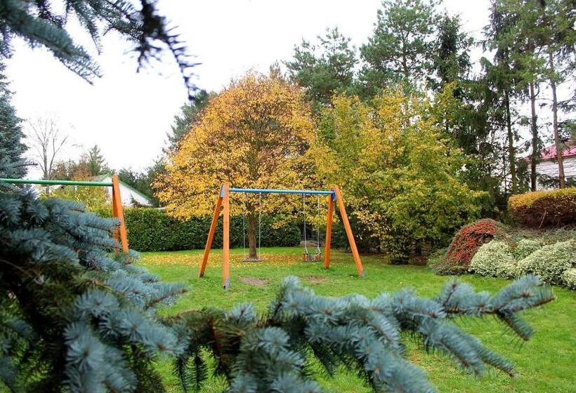 スタンダードルーム, Zabawa