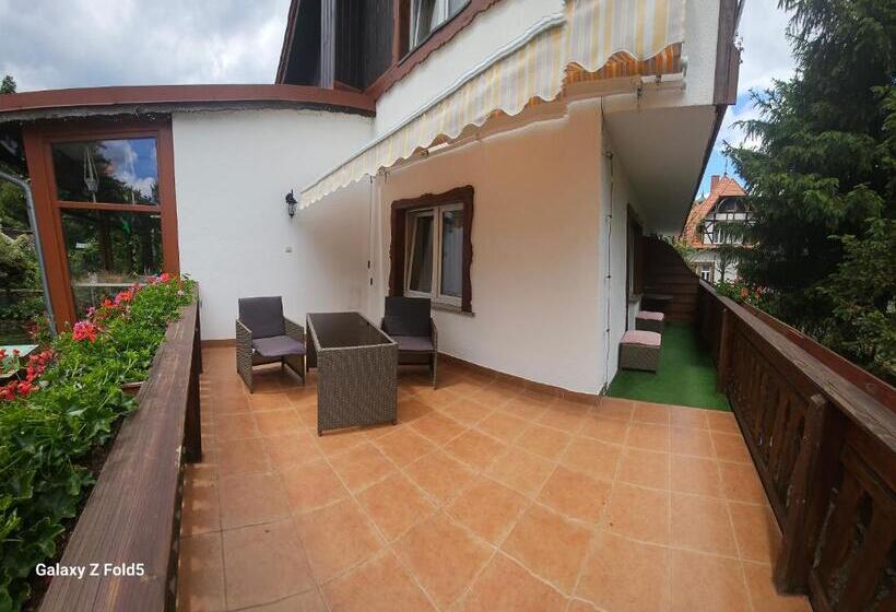 غرفة قياسية, Pensjonat Merkury