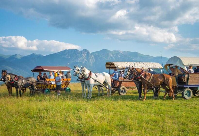 1 Bedroom Apartment Mountain View, Willa U Perełki