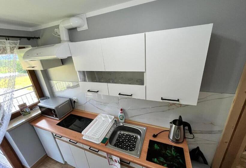 آپارتمان 1 خوابه با چشم‌انداز, Willa U Perełki