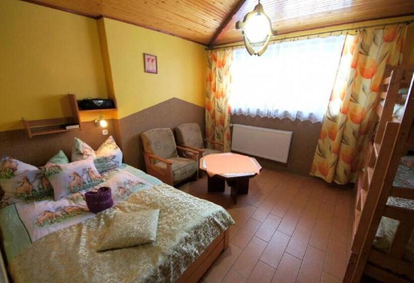 اتاق خانوادگی, Agroturystyka U Matysa Wisła