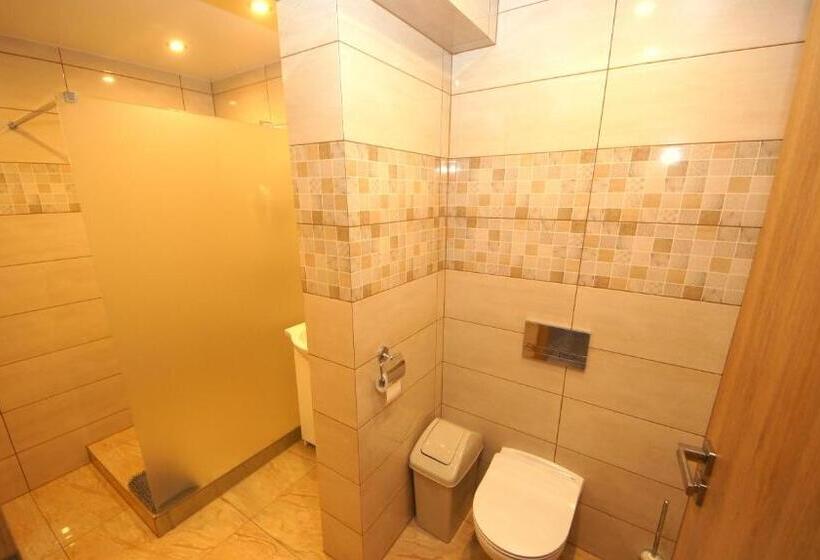 استودیو استاندارد با بالکن, Agroturystyka U Matysa Wisła