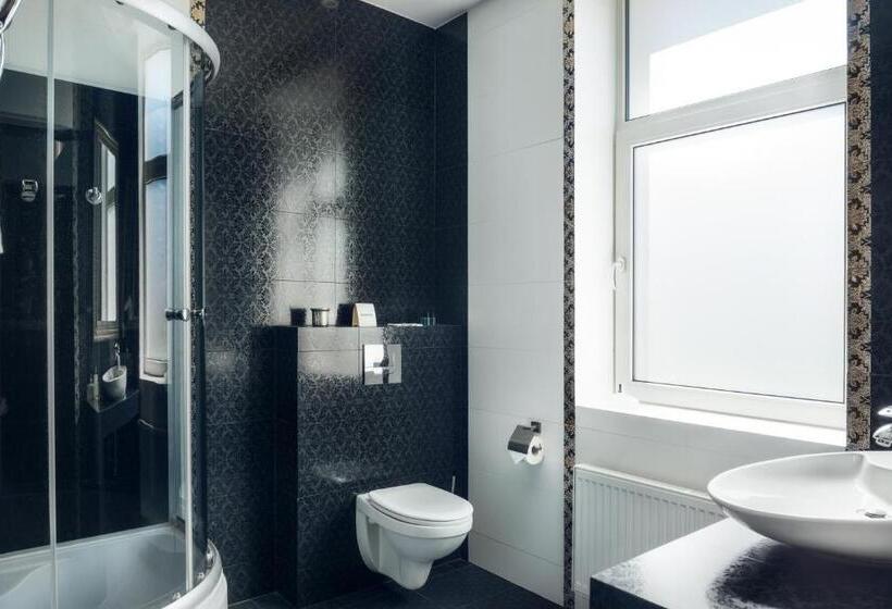 Одноместный Номер Basic, Villa Zagórze