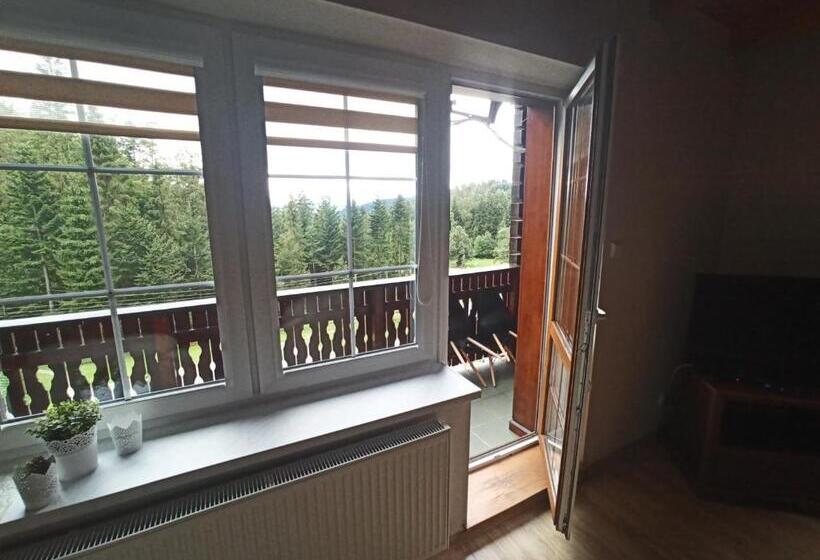 آپارتمان 1 خوابه با بالکن, Wiślany Raj