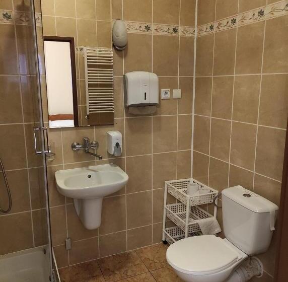 Номер Стандарт Трехместный, Sanatorium Dąbrówka