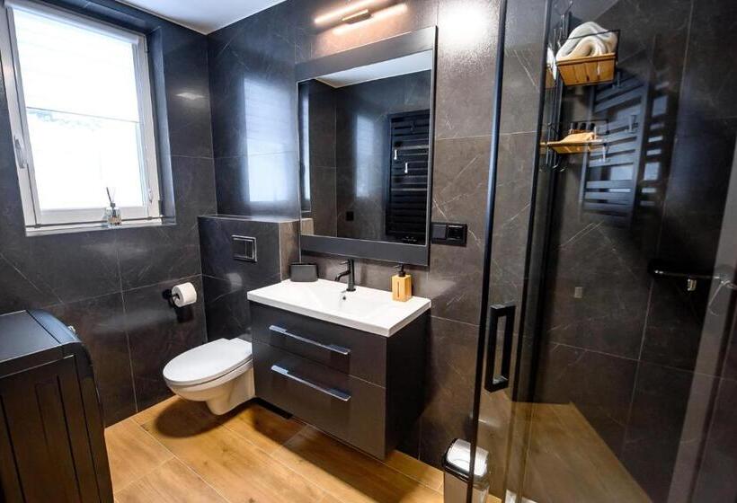 Люкс Повышенной Комфортности, Wójcik Spa   Krynica Zdrój