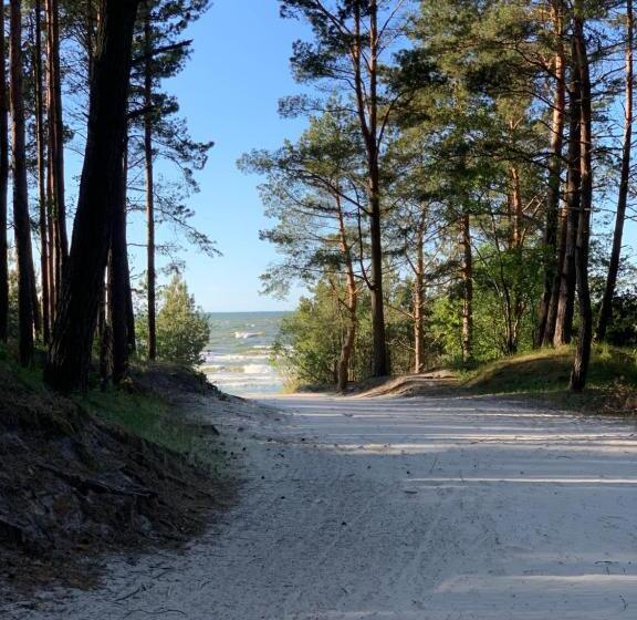 דירת חדר בקומת קרקע, Apartament Jantarowe Zacisze Green