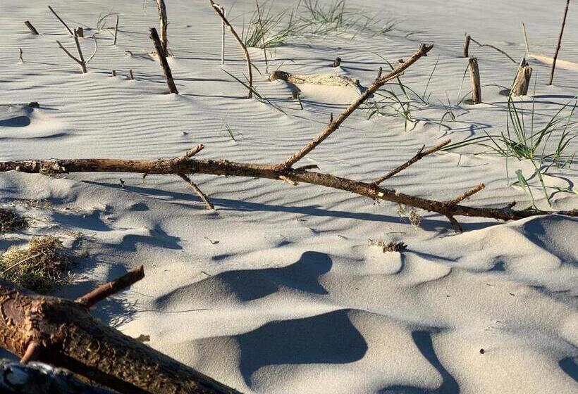 דירת חדר בקומת קרקע, Apartament Jantarowe Zacisze Green