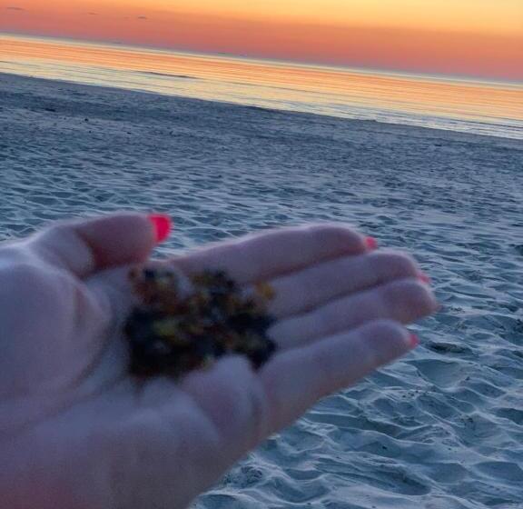 דירת חדר בקומת קרקע, Apartament Jantarowe Zacisze Green