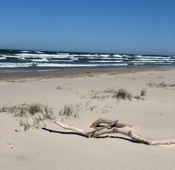 דירת חדר בקומת קרקע, Apartament Jantarowe Zacisze Green