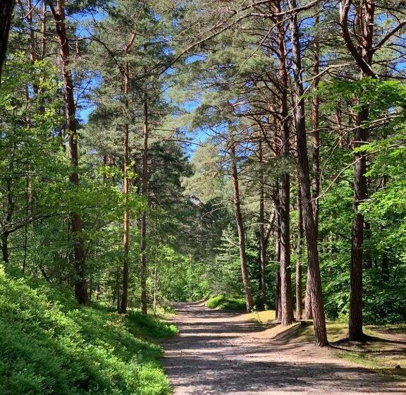 דירת חדר בקומת קרקע, Apartament Jantarowe Zacisze Green