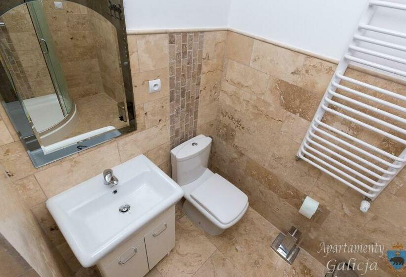 شقة غرفة نوم واحدة بالطابق الأرضى, Apartamenty Galicja