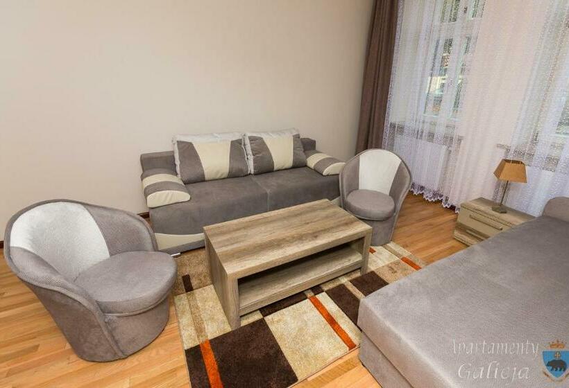 شقة غرفة نوم واحدة بالطابق الأرضى, Apartamenty Galicja