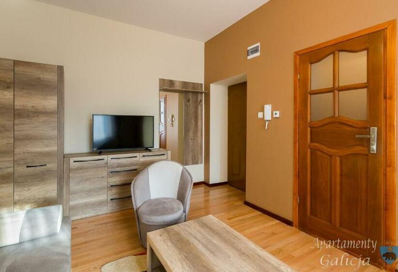 شقة غرفة نوم واحدة بالطابق الأرضى, Apartamenty Galicja