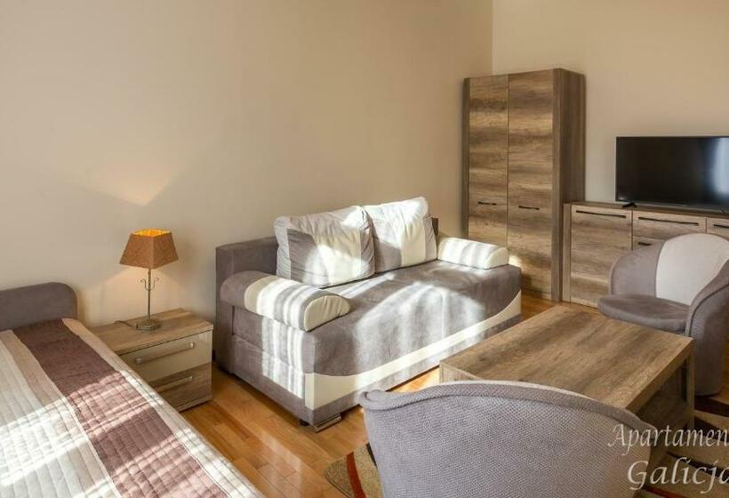 شقة غرفة نوم واحدة بالطابق الأرضى, Apartamenty Galicja