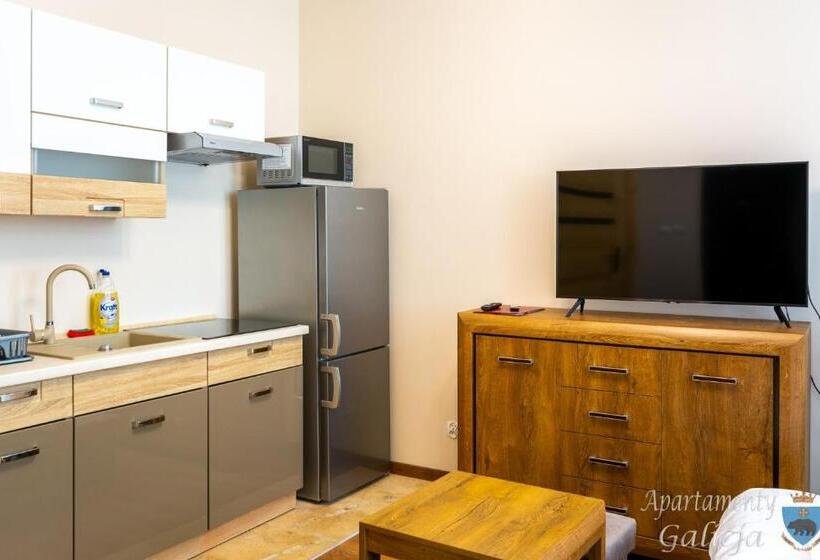 شقة غرفة نوم واحدة بالطابق الأرضى, Apartamenty Galicja