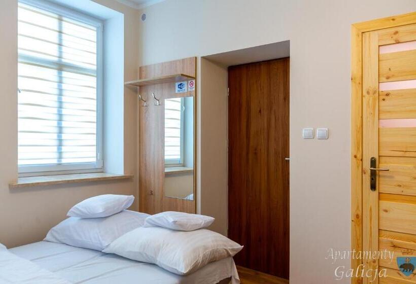 شقة غرفة نوم واحدة بالطابق الأرضى, Apartamenty Galicja