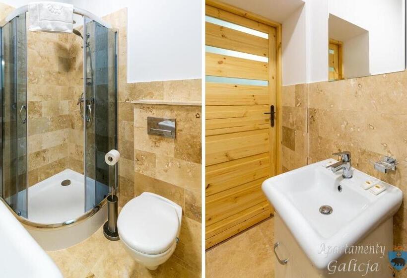 شقة غرفة نوم واحدة بالطابق الأرضى, Apartamenty Galicja