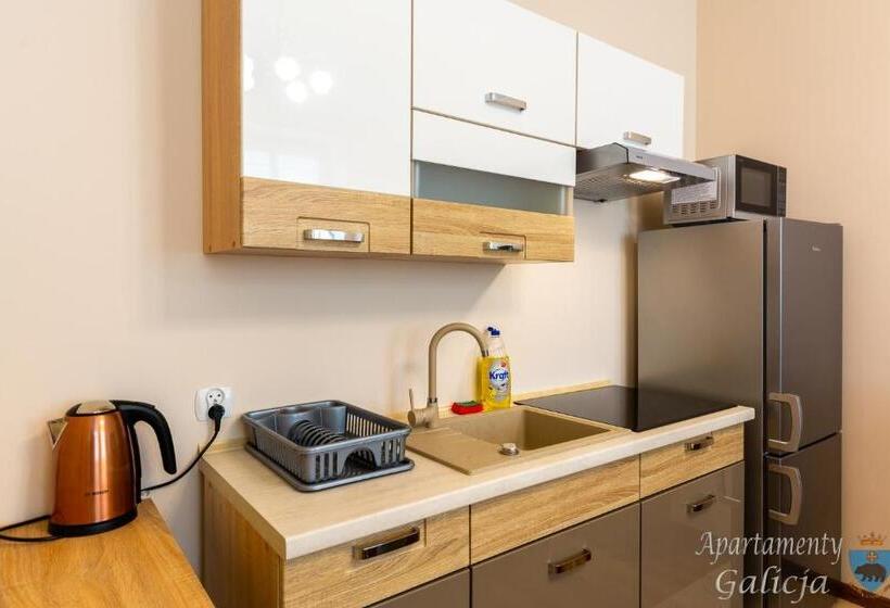 Апартаменты 1 Спальня Нижний Этаж, Apartamenty Galicja