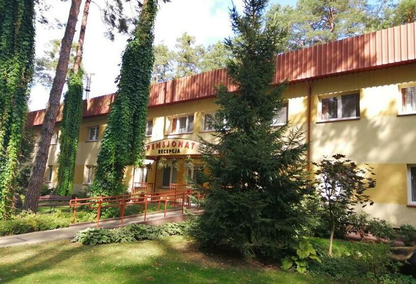Номер Стандарт, Pensjonat