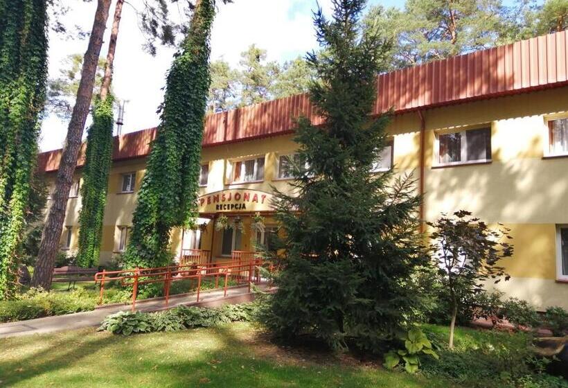 Семейный Номер, Pensjonat