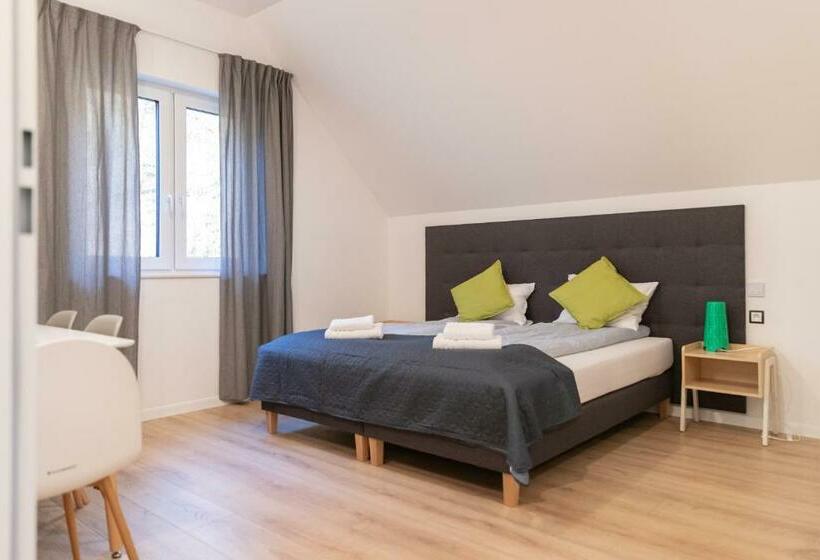 デラックスルーム, Apartamenty Pod Zamkiem W Janowcu