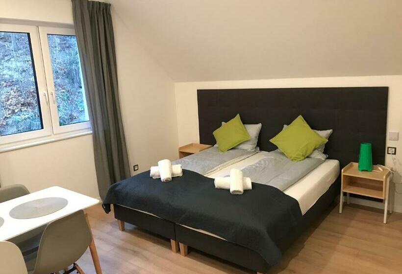 デラックスルーム, Apartamenty Pod Zamkiem W Janowcu