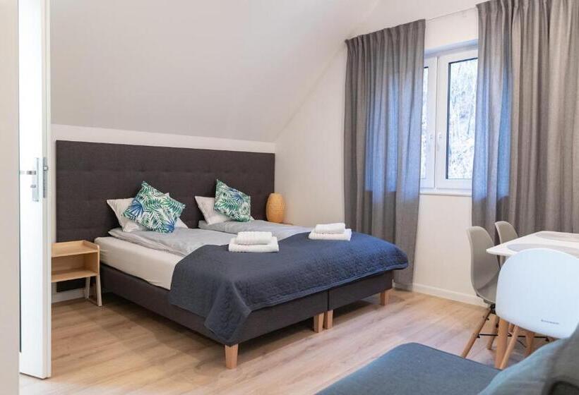 デラックスルーム, Apartamenty Pod Zamkiem W Janowcu