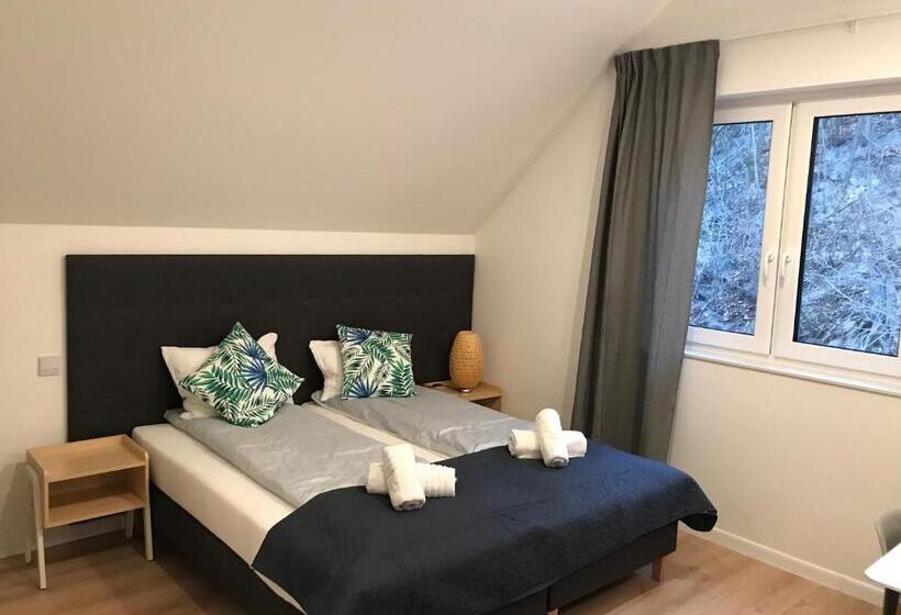 デラックスルーム, Apartamenty Pod Zamkiem W Janowcu