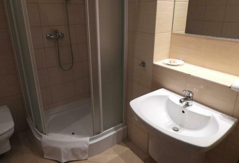 스탠다드 싱글 룸, Pokoje Gościnne Pałac W Balicach Instytut Zootechniki Pib