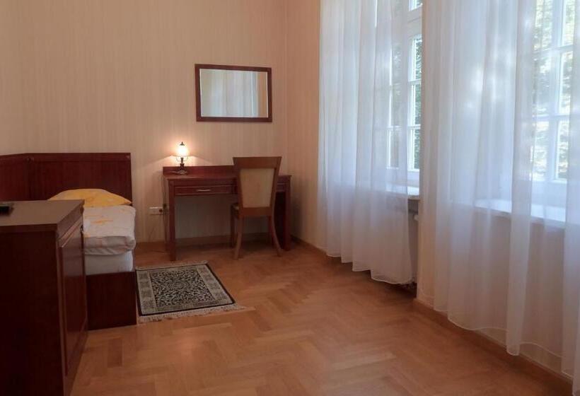 חדר סטנדרט יחיד, Pokoje Gościnne Pałac W Balicach Instytut Zootechniki Pib