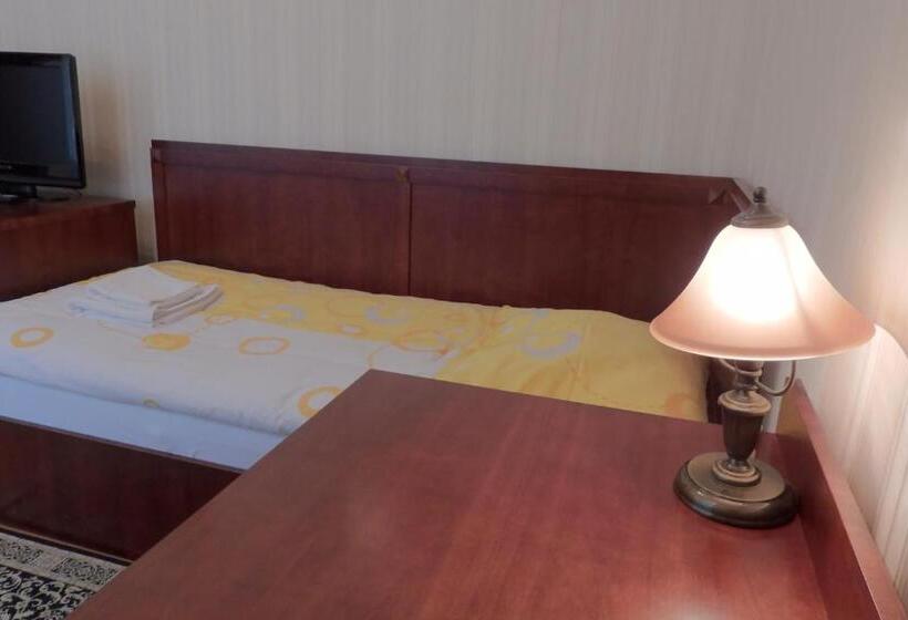 스탠다드 싱글 룸, Pokoje Gościnne Pałac W Balicach Instytut Zootechniki Pib