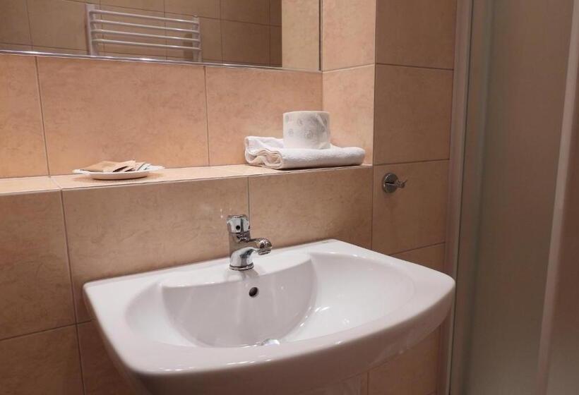 스탠다드 룸, Pokoje Gościnne Pałac W Balicach Instytut Zootechniki Pib