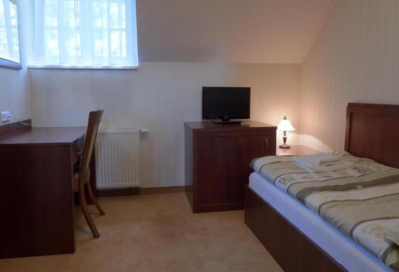 스탠다드 싱글 룸, Pokoje Gościnne Pałac W Balicach Instytut Zootechniki Pib