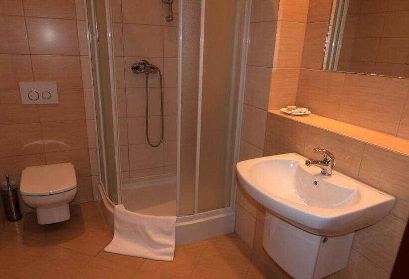 חדר סטנדרט יחיד, Pokoje Gościnne Pałac W Balicach Instytut Zootechniki Pib