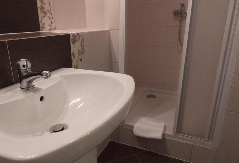 스탠다드 싱글 룸, Pokoje Gościnne Pałac W Balicach Instytut Zootechniki Pib