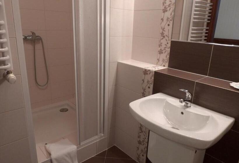 스탠다드 싱글 룸, Pokoje Gościnne Pałac W Balicach Instytut Zootechniki Pib