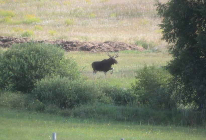Четырехместный Номер Стандарт, żurawi Jar