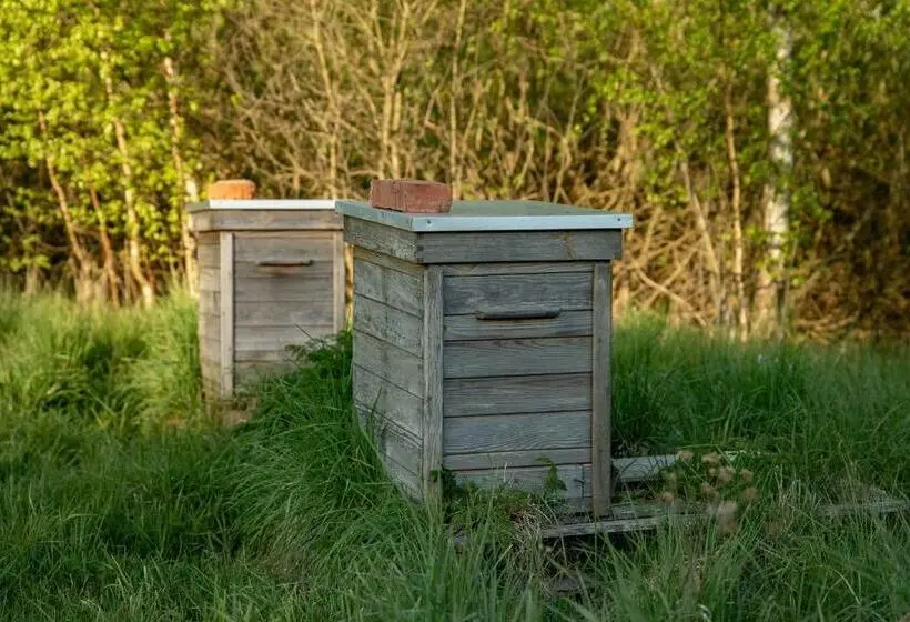 Standard Neljän Hengen Huone, żurawi Jar
